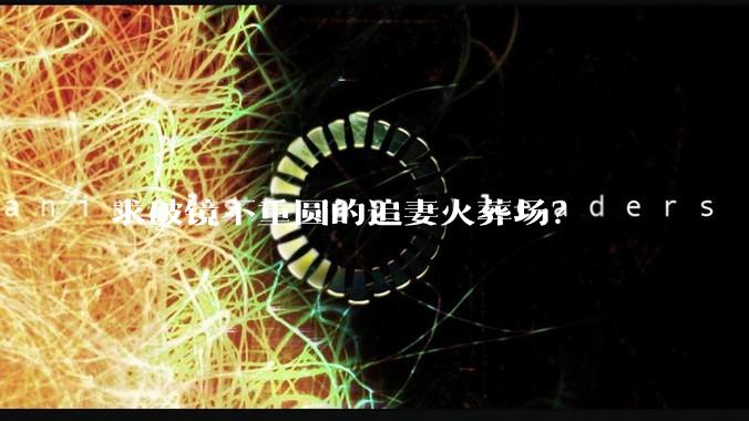 求破镜不重圆的追妻火葬场？