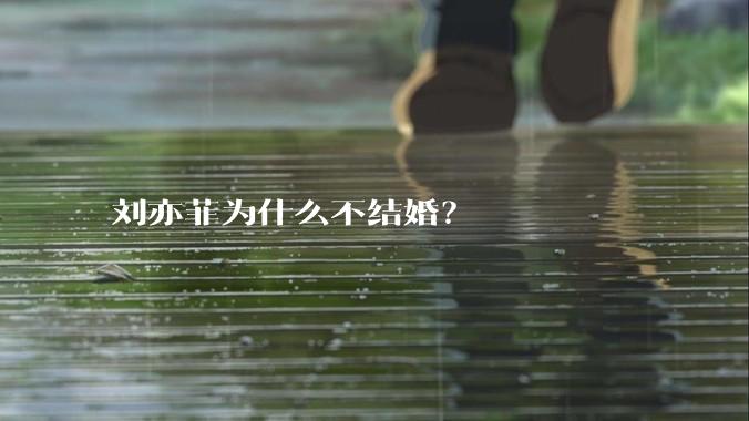 刘亦菲为什么不结婚？