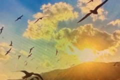 西甲焦点战：巴列卡诺VS火力全开塞维利亚，强强对决前瞻