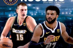 公牛集团（603195）主力资金净流入119.53万，股价上涨动力强劲